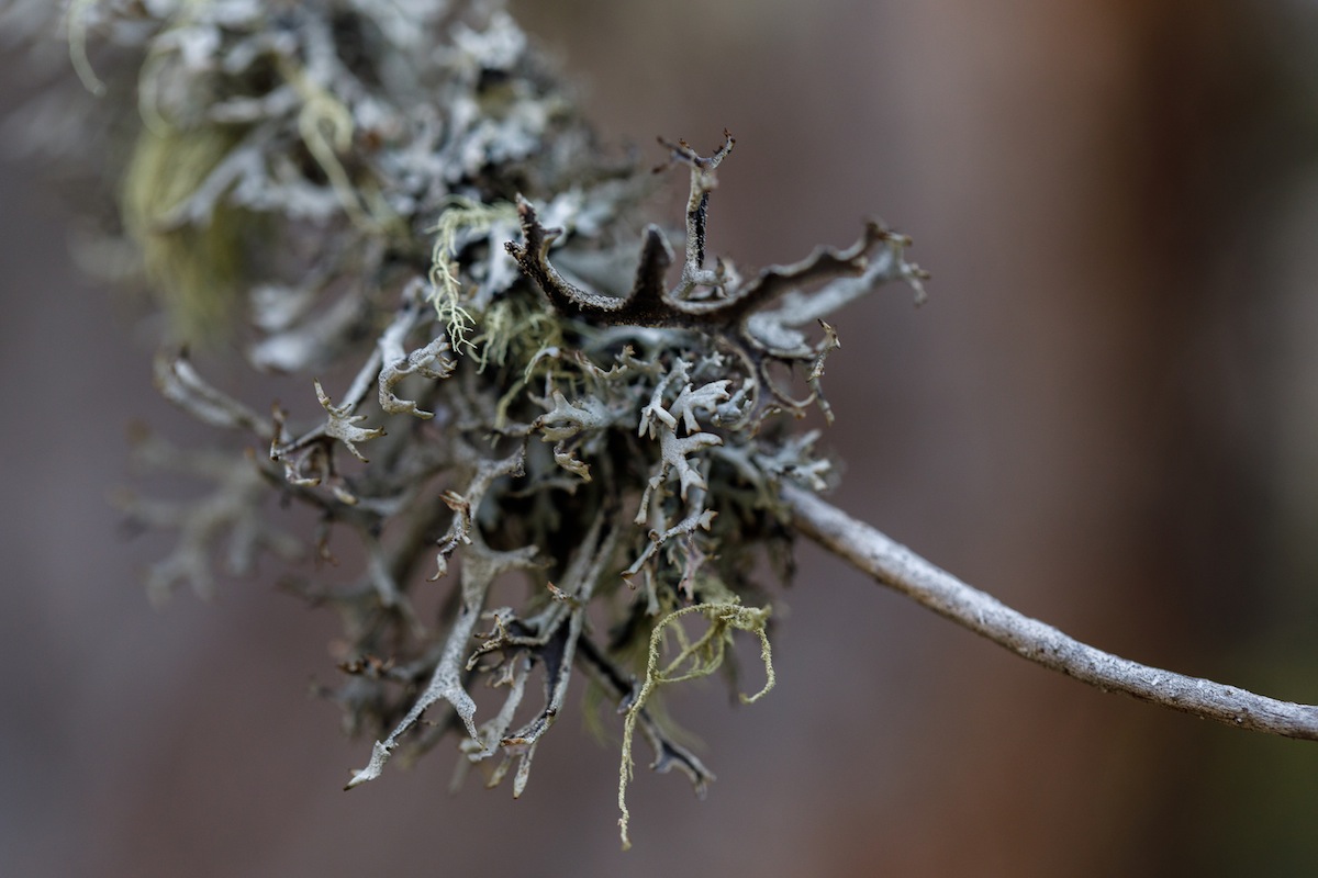 © Ulrich Desery | IF/Academy Dolomiten Fotowanderung 2017